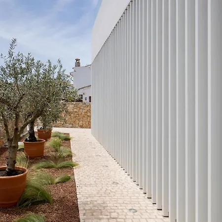 Porfirio Picota - Adults Recommended מלון