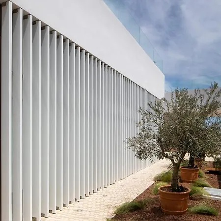 מלון Porfirio Picota - Adults Recommended סהרה דה לוס אטונס