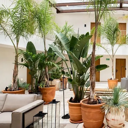 Porfirio Picota - Adults Recommended Hotel 3*