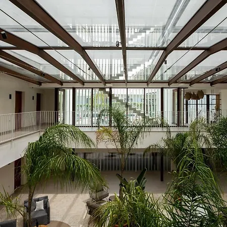 Porfirio Picota - Adults Recommended Hotel